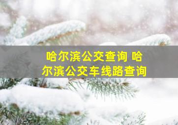 哈尔滨公交查询 哈尔滨公交车线路查询